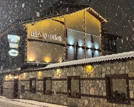 Πανσιόν Matsurev