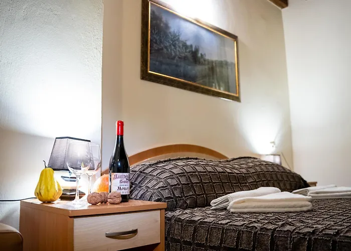 Matsurev 게스트하우스